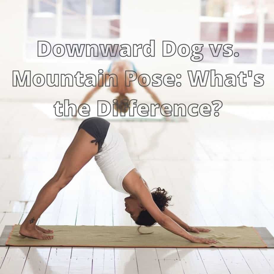 Downward Dog vs. Mountain Pose What’s the Difference? Sita’s Yoga